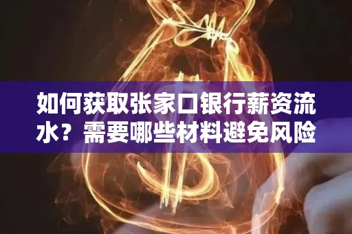 如何获取张家口银行薪资流水？需要哪些材料避免风险快速办理？