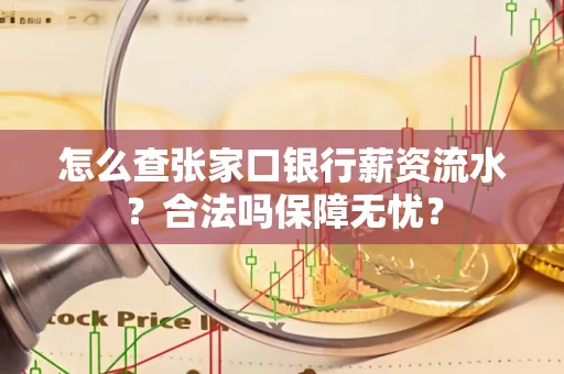 怎么查张家口银行薪资流水？合法吗保障无忧？