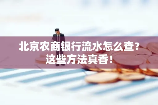 北京农商银行流水怎么查？这些方法真香！