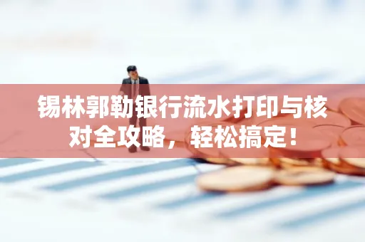 锡林郭勒银行流水打印与核对全攻略，轻松搞定！