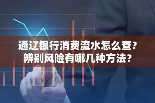 通辽银行消费流水怎么查？辨别风险有哪几种方法？