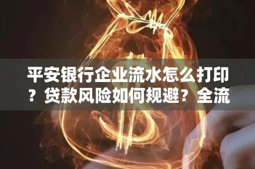 平安银行企业流水怎么打印？贷款风险如何规避？全流程技巧解析